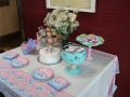 Gender Reveal Party